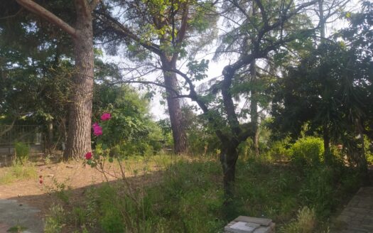 Lamporecchio, zona centro, Villa libera su quattro lati