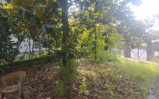 Lamporecchio, zona centro, Villa libera su quattro lati