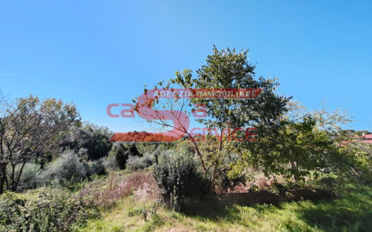 **Colonica in Vendita a Montecatini Terme**