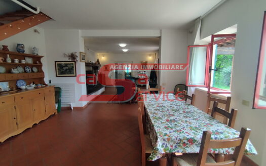 Buggiano, in zona collinare casale con terreno