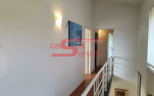 Buggiano, in zona collinare casale con terreno