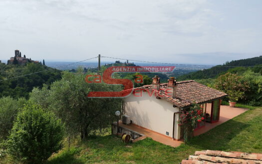 Buggiano, in zona collinare casale con terreno