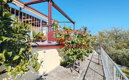 Massa e Cozzile – immobile in posizione panoramica con terreno