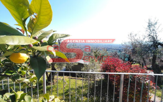 Massa e Cozzile – immobile in posizione panoramica con terreno
